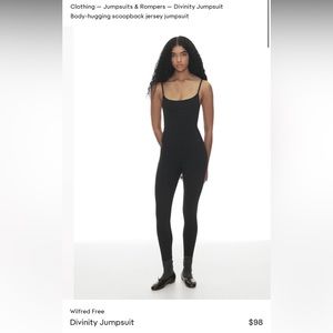 Aritzia Wilfred Divinity Jumpsuit